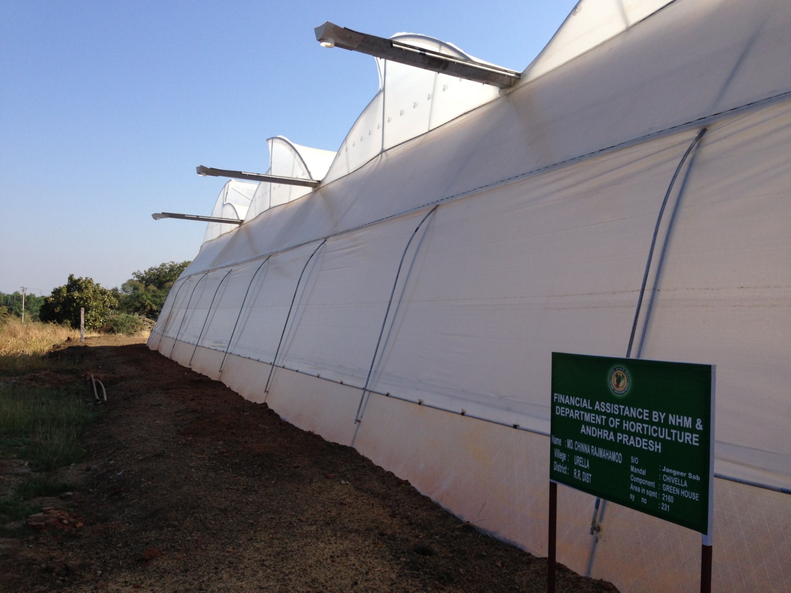 Greenhouse Project 19